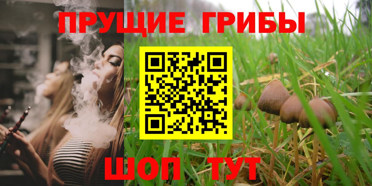 Орёл  купить  цена  Вход с VPN  Псилоцибиновые грибы прущие грибы 